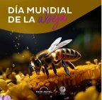 abeja