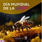 DIA ABEJA